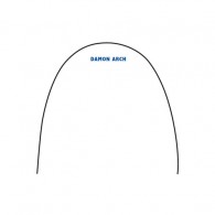 Damon arch wire stainless steel